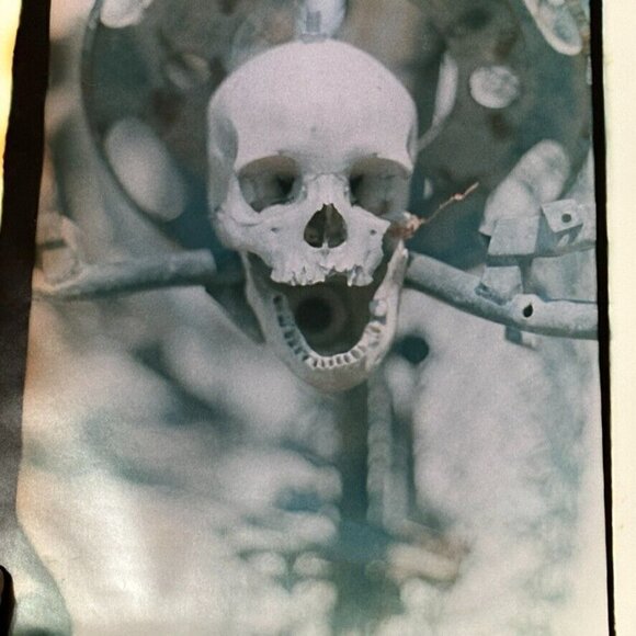 Janine Gordon Photograph 20x24" C-print Edition Signed Voodoo Skull Haiti Art - Picture 3 of 5